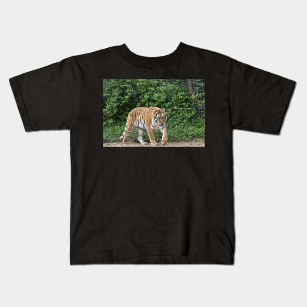 Tiger Kids T-Shirt by MarieDarcy